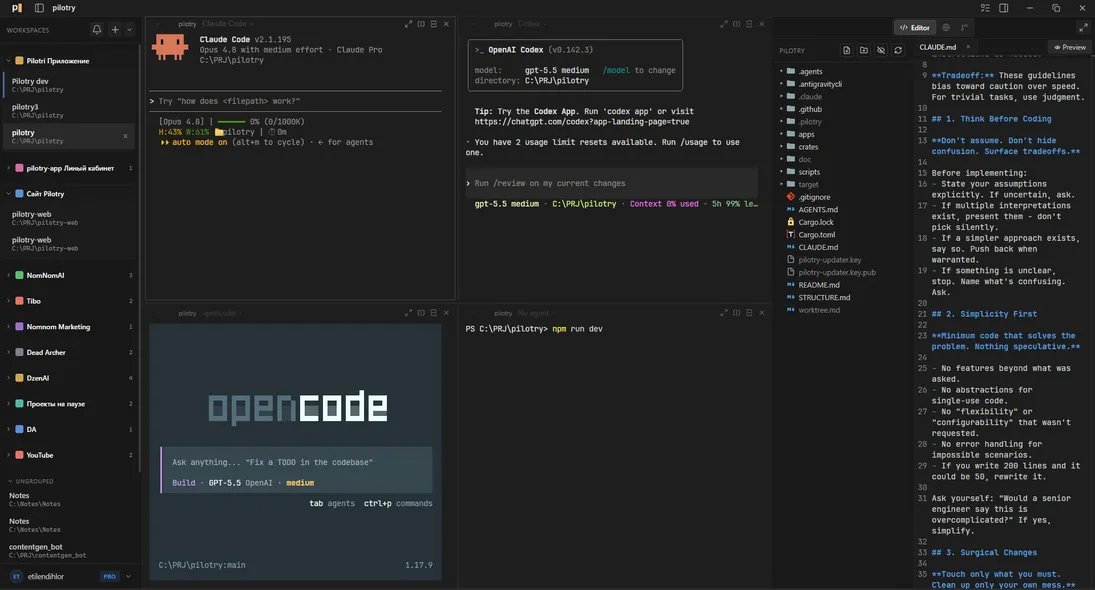 pilotry interface: several workspaces with agents and their statuses - ready, working, error, waiting
